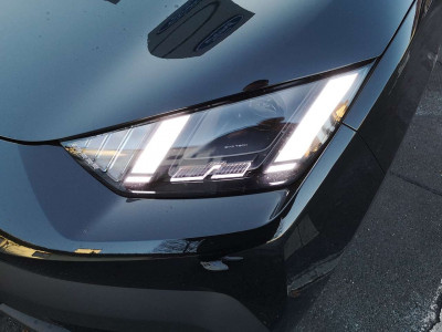 BYD Dolphin Surf Neuwagen