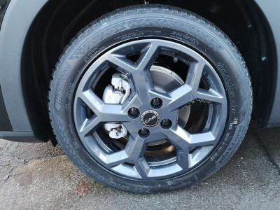 BYD Dolphin Surf Neuwagen