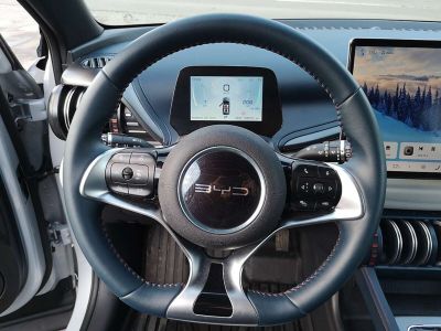 BYD Atto 3 Gebrauchtwagen