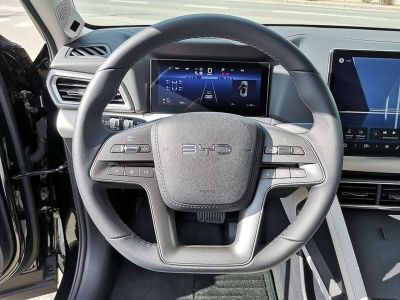 BYD Atto 2 Vorführwagen
