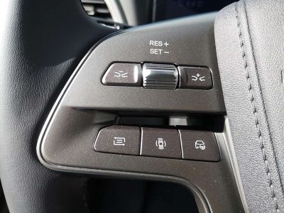 BYD Atto 2 Vorführwagen