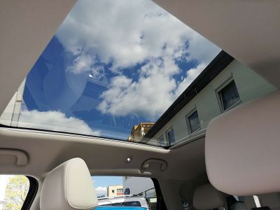 BYD Atto 2 Vorführwagen