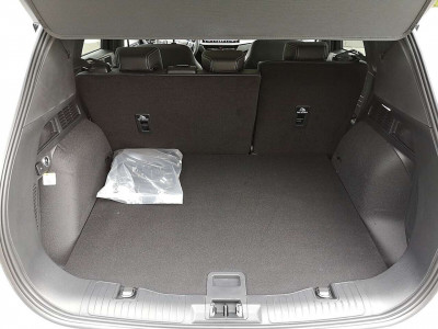 Ford Kuga Vorführwagen