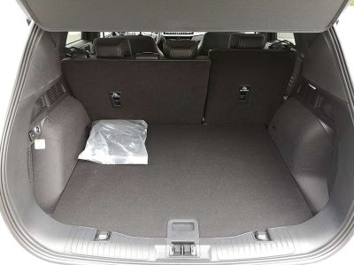 Ford Kuga Vorführwagen