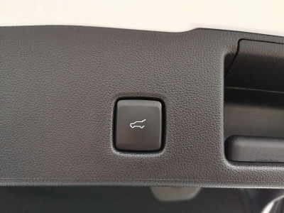 Ford Kuga Vorführwagen