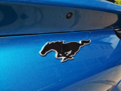 Ford Mustang Mach-E Vorführwagen