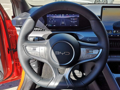 BYD Dolphin Vorführwagen BYD Dolphin Vorführwagen