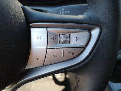 BYD Dolphin Vorführwagen BYD Dolphin Vorführwagen