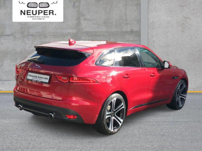 Jaguar F-Pace Gebrauchtwagen