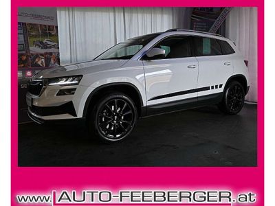 Skoda Karoq Gebrauchtwagen