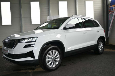 Skoda Karoq Gebrauchtwagen