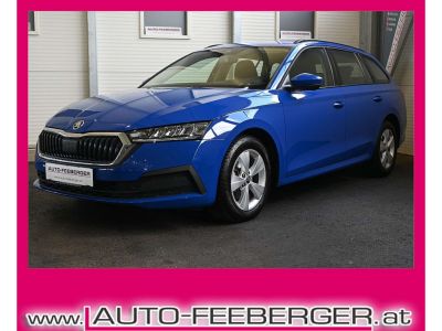 Skoda Octavia Gebrauchtwagen