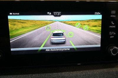 Skoda Kamiq Tageszulassung