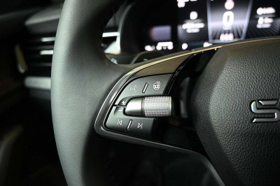 Skoda Kamiq Tageszulassung