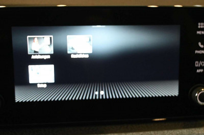 Skoda Kamiq Tageszulassung