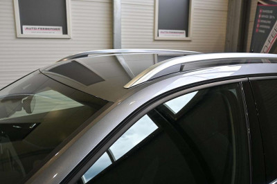 Skoda Kamiq Tageszulassung