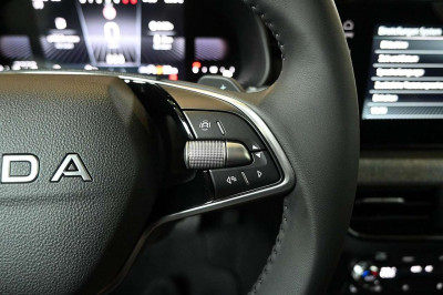 Skoda Kamiq Tageszulassung