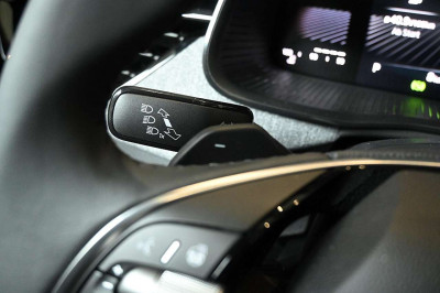 Skoda Kamiq Tageszulassung