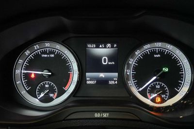 Skoda Karoq Gebrauchtwagen