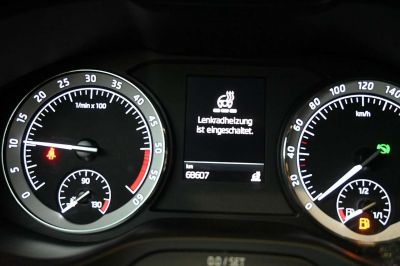 Skoda Karoq Gebrauchtwagen