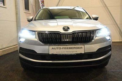 Skoda Karoq Gebrauchtwagen