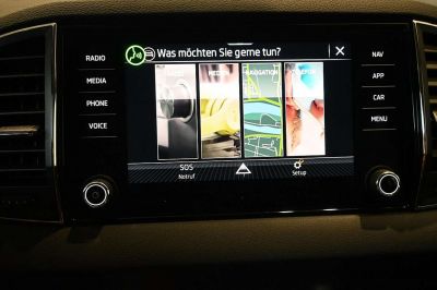 Skoda Karoq Gebrauchtwagen