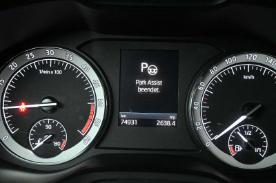 Skoda Karoq Gebrauchtwagen Skoda Karoq Gebrauchtwagen