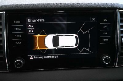 Skoda Karoq Gebrauchtwagen