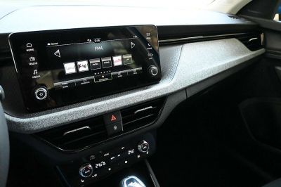 Skoda Kamiq Gebrauchtwagen