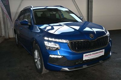 Skoda Kamiq Gebrauchtwagen