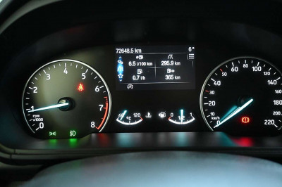 Ford EcoSport Gebrauchtwagen