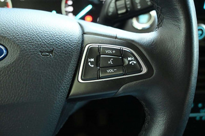 Ford EcoSport Gebrauchtwagen