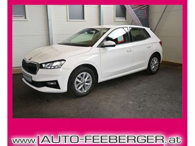 Skoda Fabia Gebrauchtwagen Skoda Fabia Gebrauchtwagen