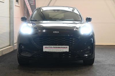 Ford Puma Gebrauchtwagen Ford Puma Gebrauchtwagen