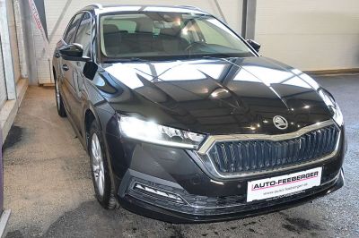 Skoda Octavia Gebrauchtwagen