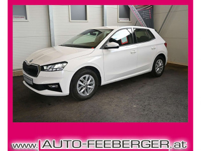 Skoda Fabia Gebrauchtwagen Skoda Fabia Gebrauchtwagen