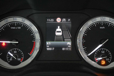 Skoda Karoq Gebrauchtwagen