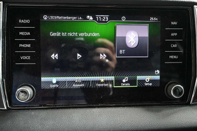 Skoda Karoq Gebrauchtwagen