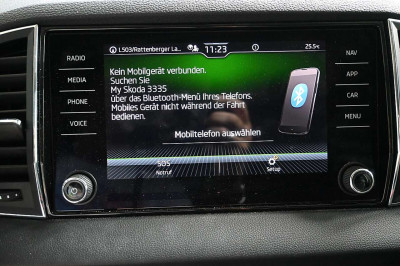 Skoda Karoq Gebrauchtwagen
