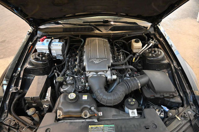 Ford Mustang Gebrauchtwagen Ford Mustang Gebrauchtwagen