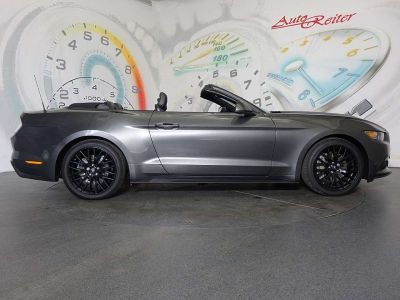 Ford Mustang Gebrauchtwagen