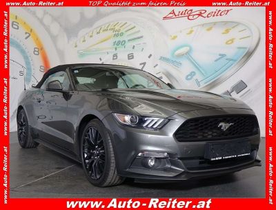 Ford Mustang Gebrauchtwagen