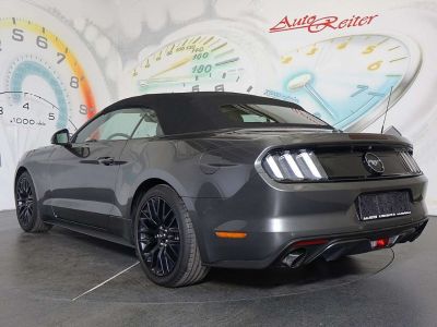 Ford Mustang Gebrauchtwagen