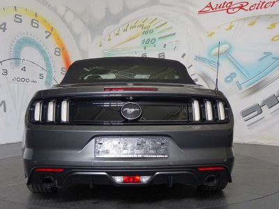 Ford Mustang Gebrauchtwagen