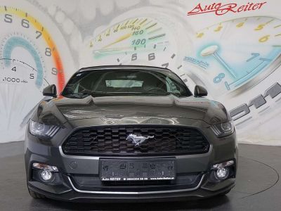 Ford Mustang Gebrauchtwagen