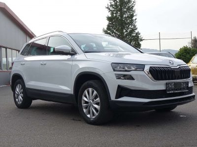 Skoda Karoq Gebrauchtwagen