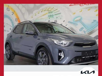 KIA Stonic Gebrauchtwagen