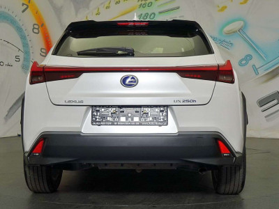 Lexus UX Gebrauchtwagen