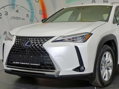 Lexus UX Gebrauchtwagen