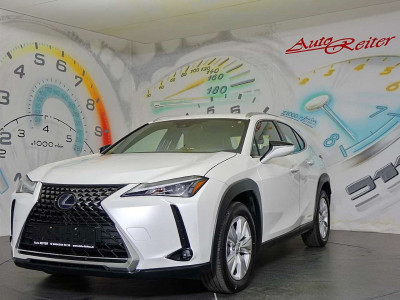 Lexus UX Gebrauchtwagen